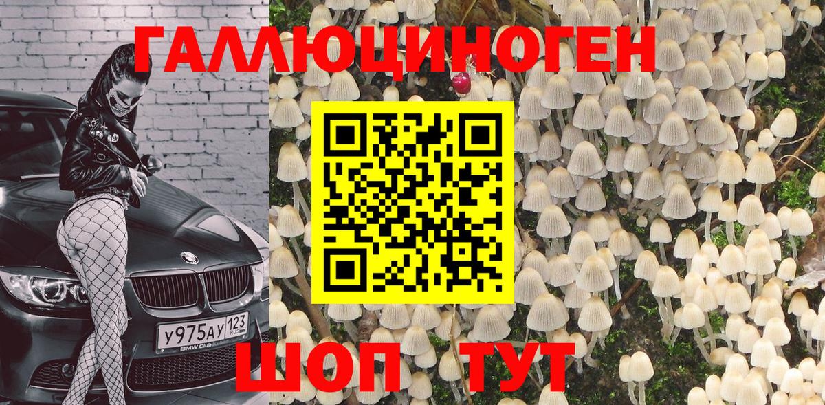 Новый Уренгой  как найти наркотики  Вход с VPN  Псилоцибиновые грибы ЛСД 